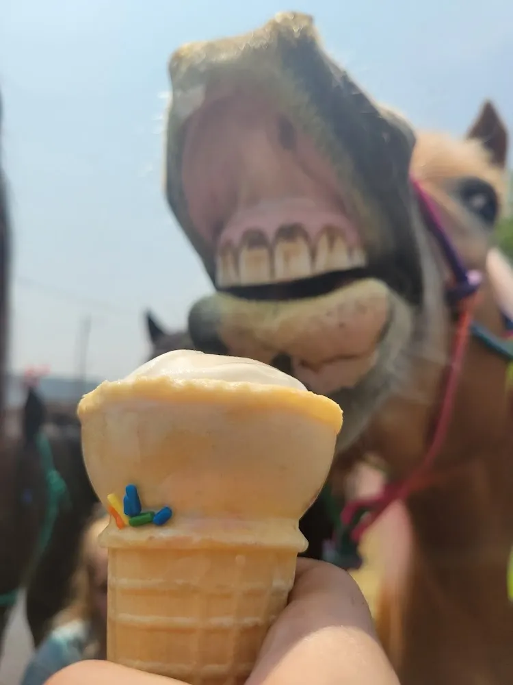 Ice Cream Cone